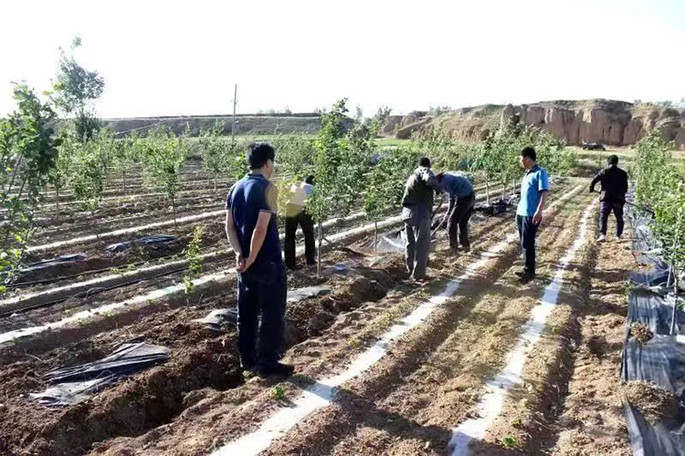 微信图片_20220622104051.jpg 微信图片_20220622104051.jpg