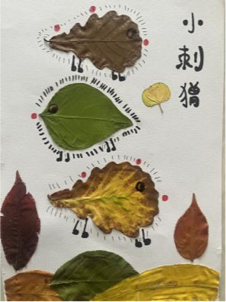 图片13.png 图片13.png