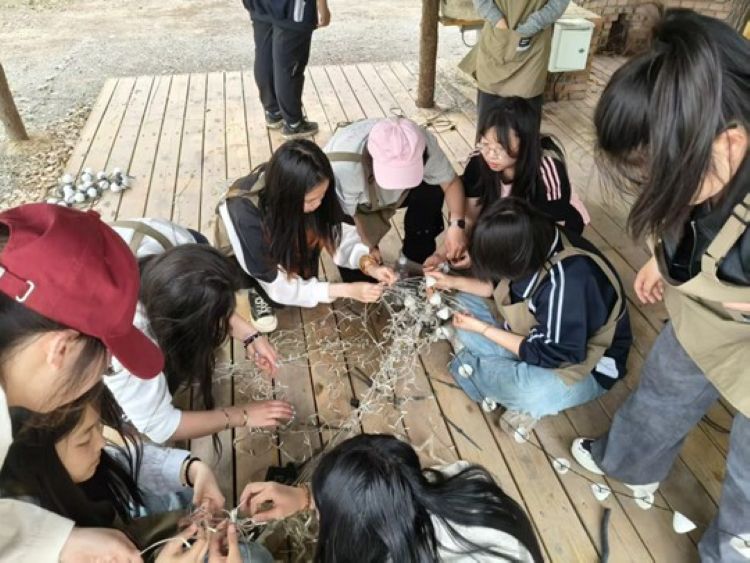 图片17.jpg 图片17.jpg